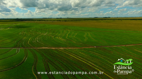 DOS EÓLICOS VIRA P FAZENDA_Moment.00_07_03_11.Quadro246_6e1e48568b27988e1ad0d32e1faff7648bd2f3ff.jpg